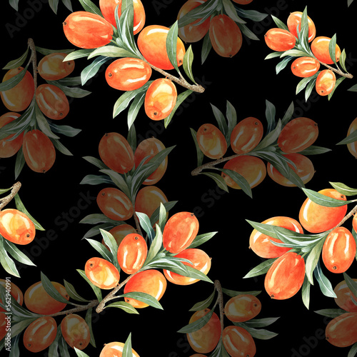Fototapeta Naklejka Na Ścianę i Meble -  Seamless pattern with watercolor illustrations of sea buckthorn on black background. Can be used for products packaging, backdrops, textile,