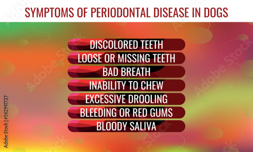 symptoms of periodontal disease in dogs.  Vector illustration for medical journal or brochure. 