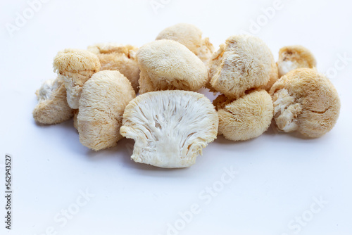 Fresh lion's mane mushroom on white background.
