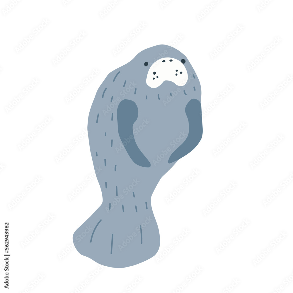 Manatees. Scandinavian style under sea. Save the manatee concept. Character design. Vector illustrations isolated on white background. Manatees. Scandinavian style under sea. Save the manatee concept. Character design. Vector illustrations isolated on white background.
