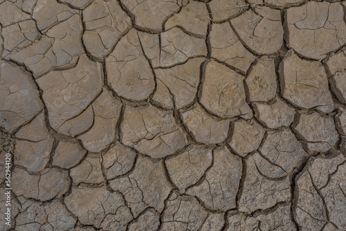 dry cracked earth