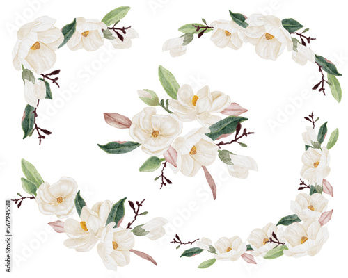 watercolor white magnolia flower and leaf bouquet clipart collection isolated on white background