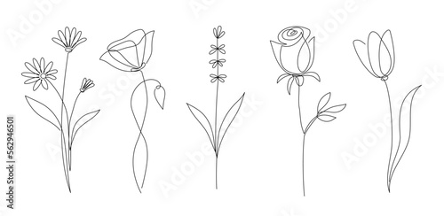 Flower set continuous outline style. Decoration flower, botanical floral element, blossom one line art for wedding, spring concept background. Vector illustration