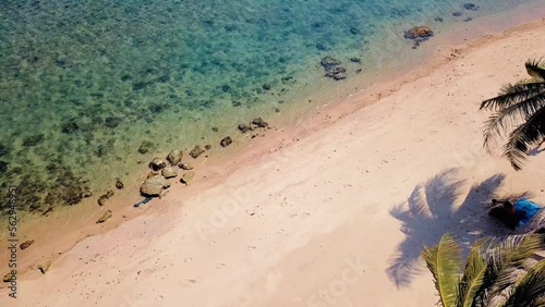 Wallpaper Mural Tropical sand beach with palm trees in sunset, sunrise, aerial dolly shot flying through the trunks, wild pristine beach in Hawaii Torontodigital.ca