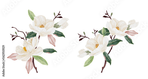 watercolor white magnolia flower and leaf bouquet clipart collection isolated on white background