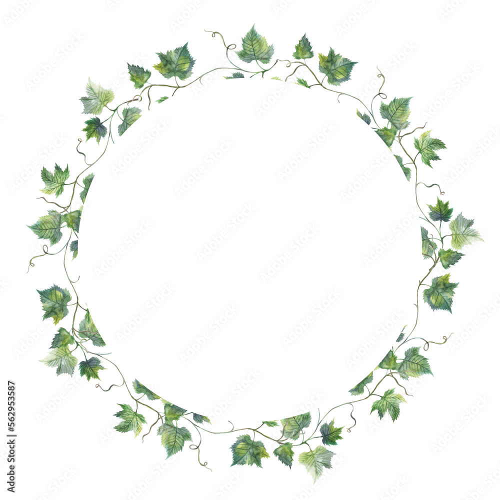 Grapevine leaf grapes wreath circle watercolor illustration hand painted