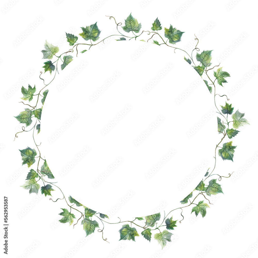 Grapevine leaf grapes wreath circle watercolor illustration hand painted Grapevine leaf grapes wreath circle watercolor illustration hand painted