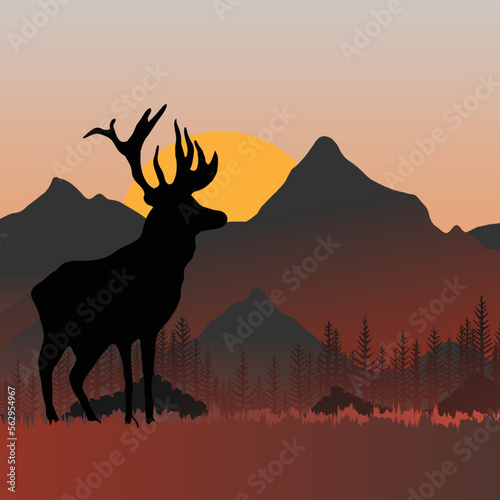 orange colour beautiful mountain views and deer