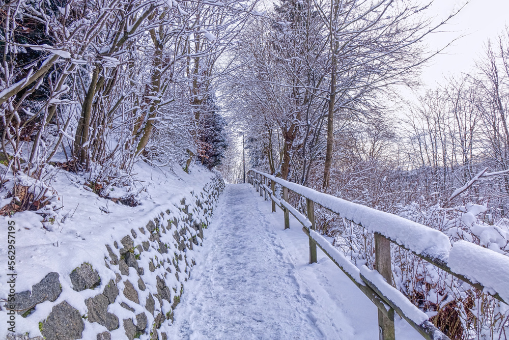 Weg zum Rothaarsteig in Winterberg im Schnee Weg zum Rothaarsteig in Winterberg im Schnee