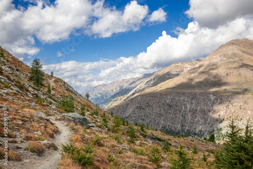 Withered autumn grass and rare dwarf trees, paved trial on slopes and gorges in Alps with shadows from white clouds floating across blue sky, Aosta Valley, Italy (Gran Paradiso National Park)