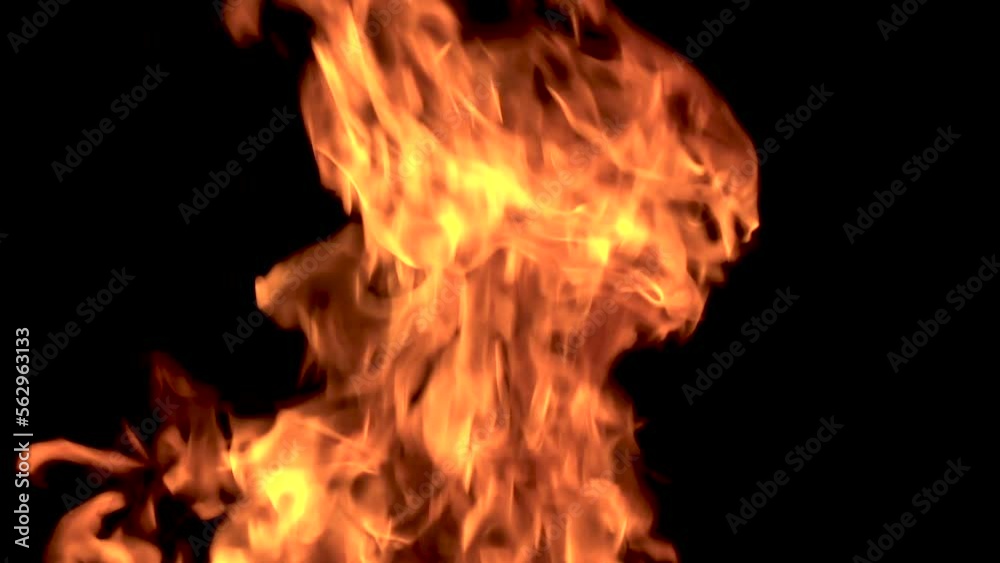 Bright burning flame on a black background bonfire close-up Bright burning flame on a black background bonfire close-up