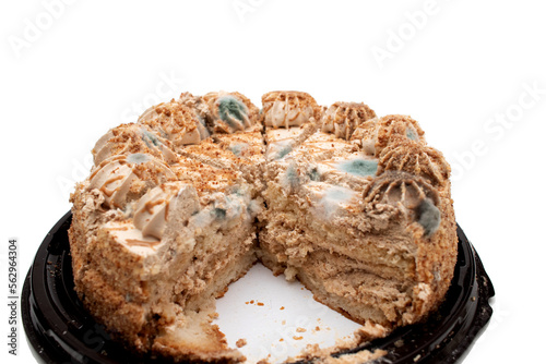 Mold growing on cake. Green fungus on the cake.