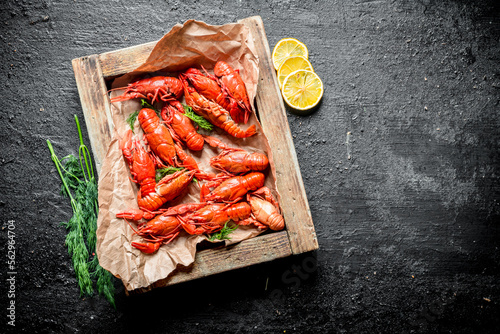 Boiled crayfish on paper in tray with dill and lemon.