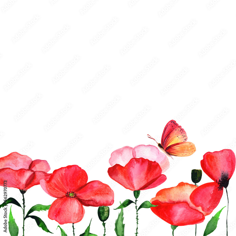 
Watercolor red poppy in a congratulatory frame.