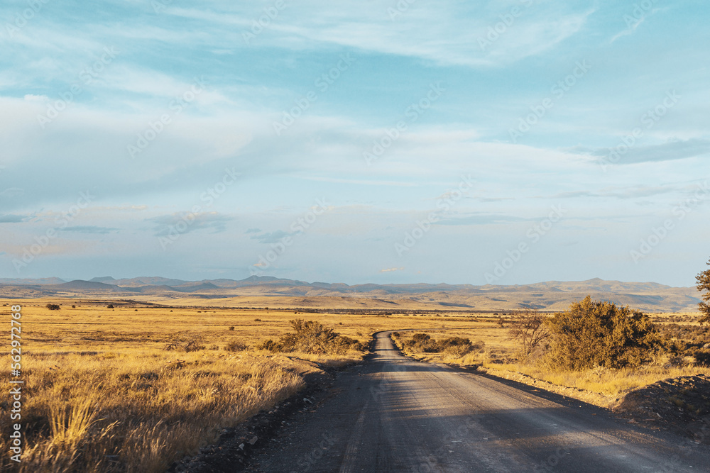 Fototapeta premium South Africa, Mountain Zebra National Park, landscape with sky