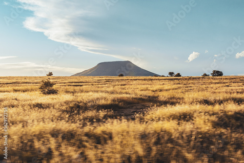 South Africa, Mountain Zebra National Park, landscape with sky