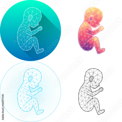 Set of Fetus Infant Embryo Female Reproductive System Medical Human Organ Logo Icon Minimalistic Triangulated Polygonal Low Poly, Line Art Isolated on White Background