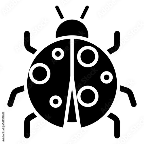 ladybug illustration