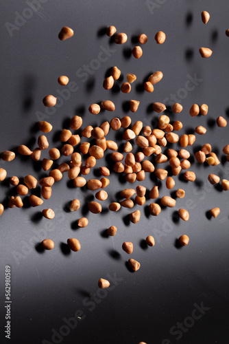 Peanut flying explosion, brown grain peanuts explode abstract cloud fly. Beautiful complete seed pea peanut splash in air, food object design. Selective focus freeze shot black background isolated