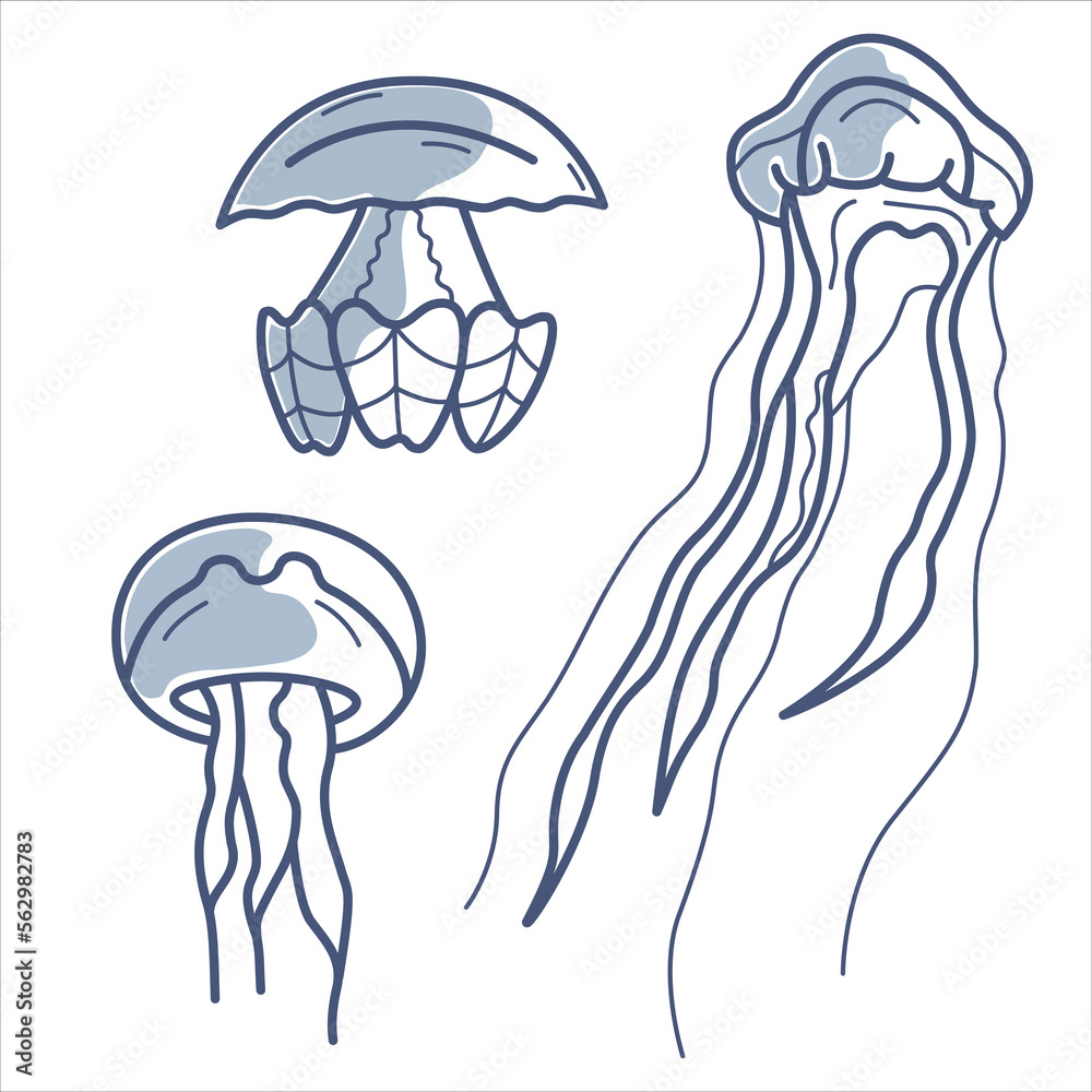 Set of vector isolated blue line jellyfishes with part color fill. Set of vector isolated blue line jellyfishes with part color fill.