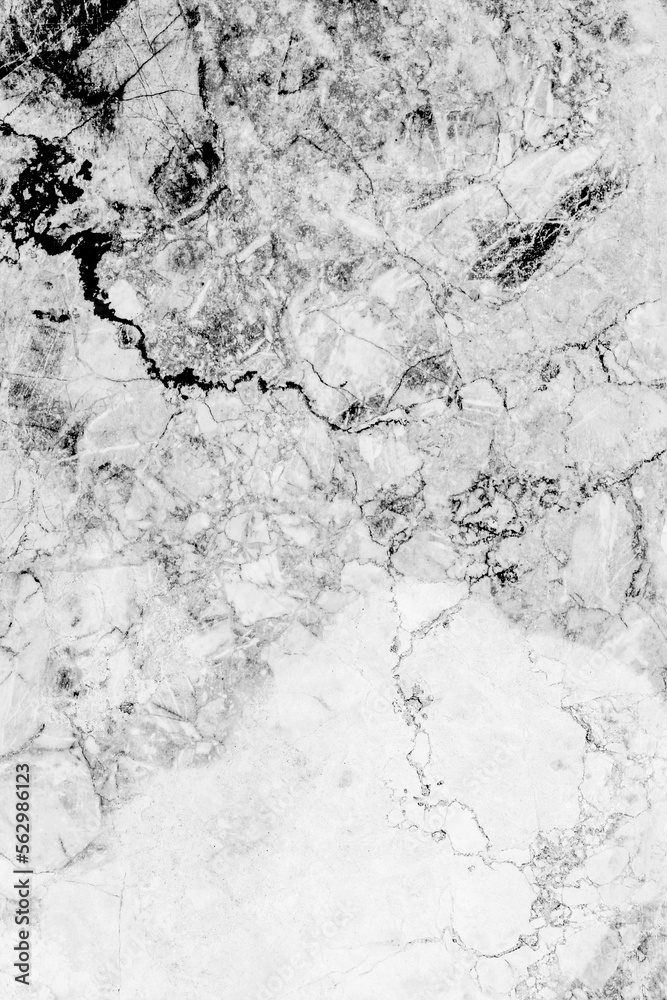 Obraz premium White and gray marble texture pattern background design for your creative design 