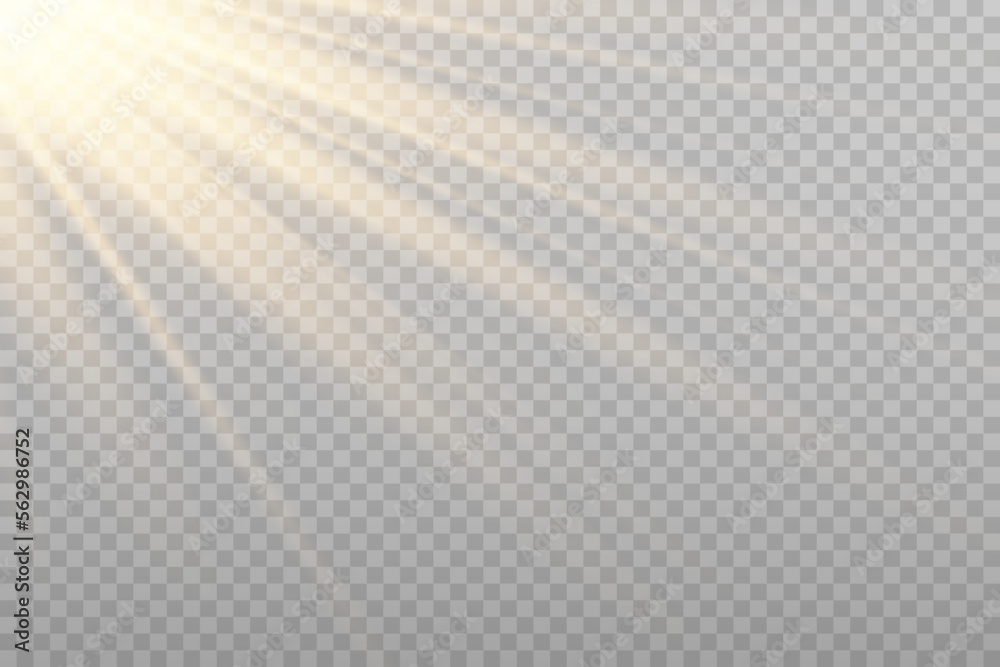Vector golden sun light effect. Glowing sunrays on transparent ...