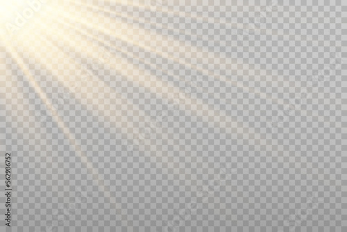 Vector golden sun light effect. Glowing sunrays on transparent background. Stock royalty free vector