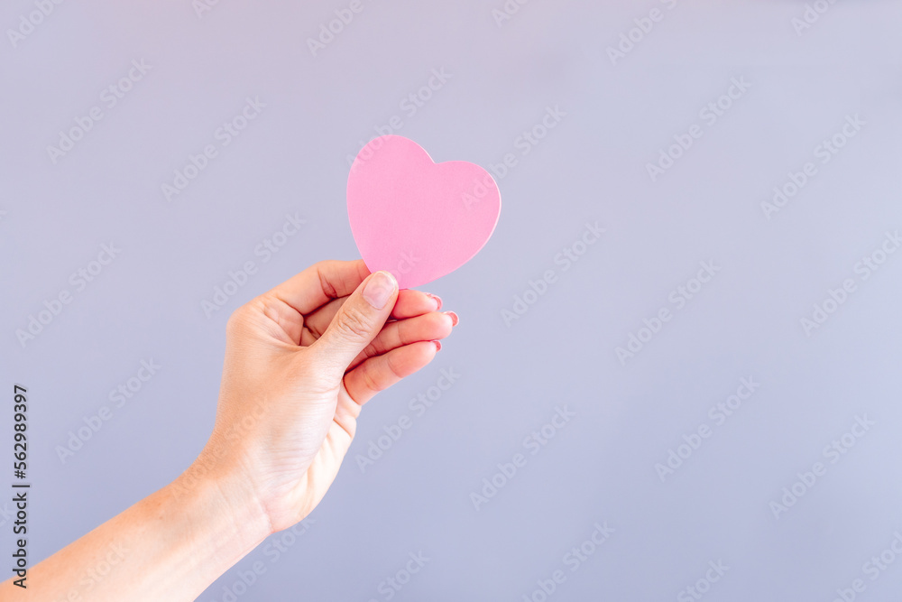 Fototapeta premium Woman hand holding a pink heart symbol. Hand holding a pink heart.The gesture symbolizes of love. Help and volunteering, Insurance health care, pink love and Valentine day concept.