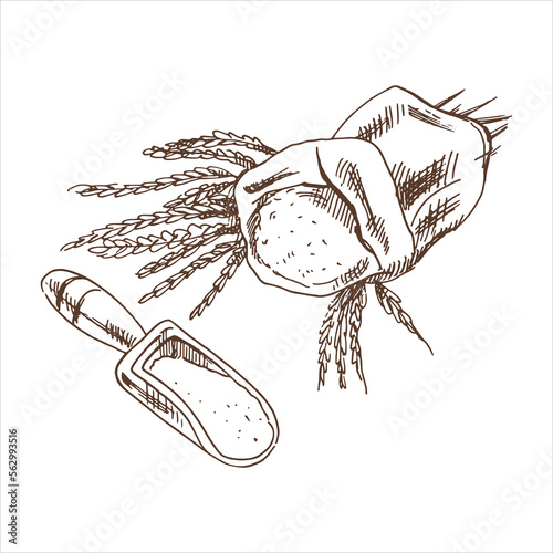 A hand-drawn sketch of a bag with flour and wheat spikelets and a flour ladle. A drawing highlighted on a white background. Vintage element for the design of labels, packaging and postcards.