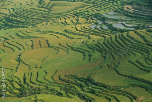 Aerial view of terraced rice paddies near Yuan Yang, China. photo