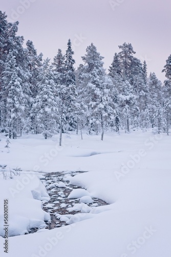 Forest stream during snowfall