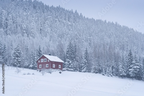 Scandinavian house on a forested and snow-covered slope