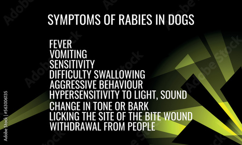 symptoms of Rabies IN dogs.  Vector illustration for medical journal or brochure. 