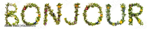 Fototapeta Naklejka Na Ścianę i Meble -  Blooming Flower Letters Building French Word Bonjour Means Hello