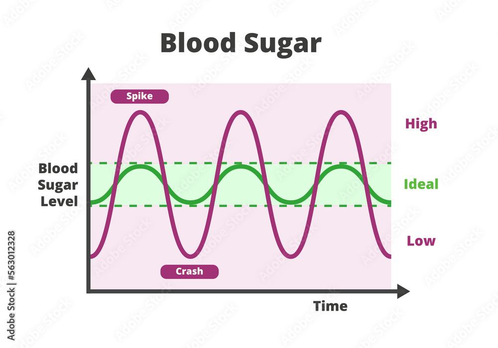 Blood sugar chart isolated on a white background. Blood sugar balance  levels, blood sugar roller coaster, diabetes. Normal or ideal, low and high  unstable levels with spike and crash. Stock Vector