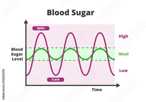 Blood sugar chart isolated on a white background. Blood sugar balance levels, blood sugar roller coaster, diabetes. Normal or ideal, low and high unstable levels with spike and crash. photo