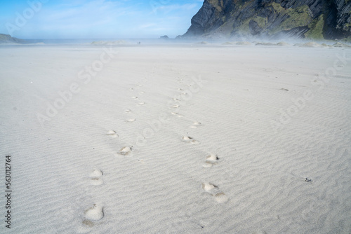 Human footprints on the Bunes beach in Lofoten, Norway, during a windy day with sand, in spring on a clear sunny day with some clouds photo