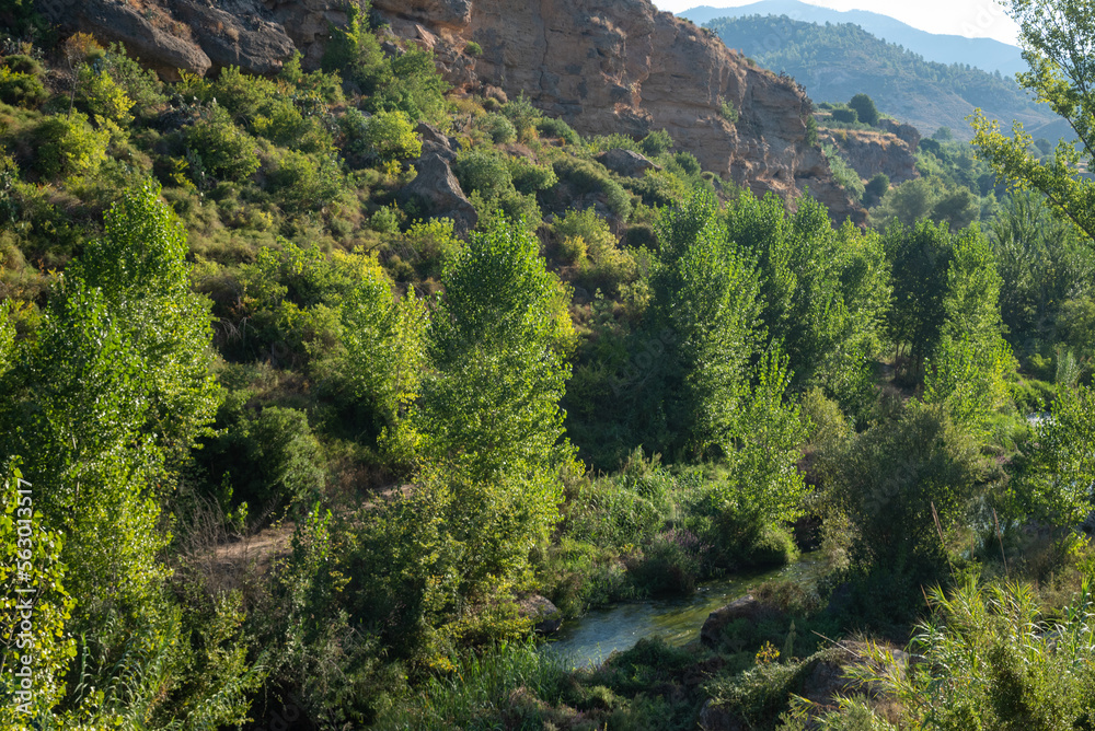 Ruta de senderismo en Chelva (Valencia)