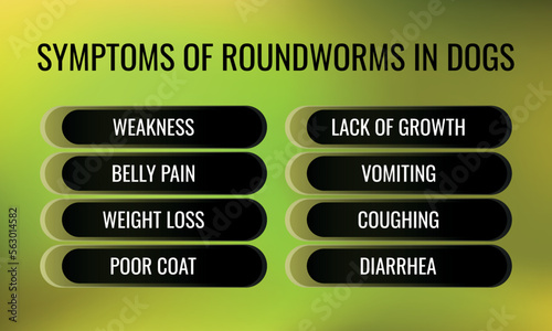 Symptoms of Roundworms in Dogs.  Vector illustration for medical journal or brochure. 