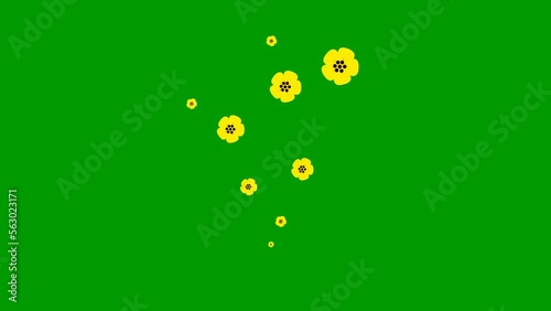 Wallpaper Mural Animated yellow beautiful flowers fly from bottom to top. A fountain of flying flowers. Looped video. Concept of spring. Vector illustration isolated on the green background. Torontodigital.ca
