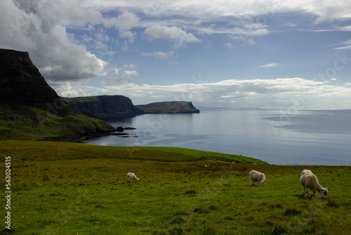 ocean coast at Neist point lighthouse with sheep, Scotland © Hector