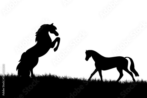 silhouette of a horse © Stock Photo For You