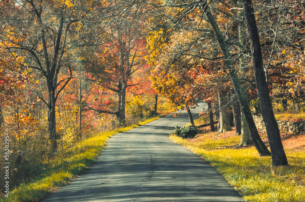 Virginia Country road in autumn