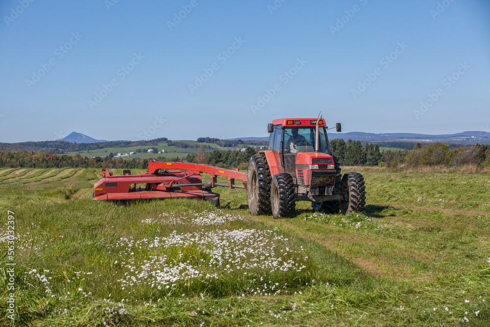 Fototapeta premium Mowing hay mower , rotary hay mower in a field on a sunny summer afternoon. Agricultural machinery equipment. 