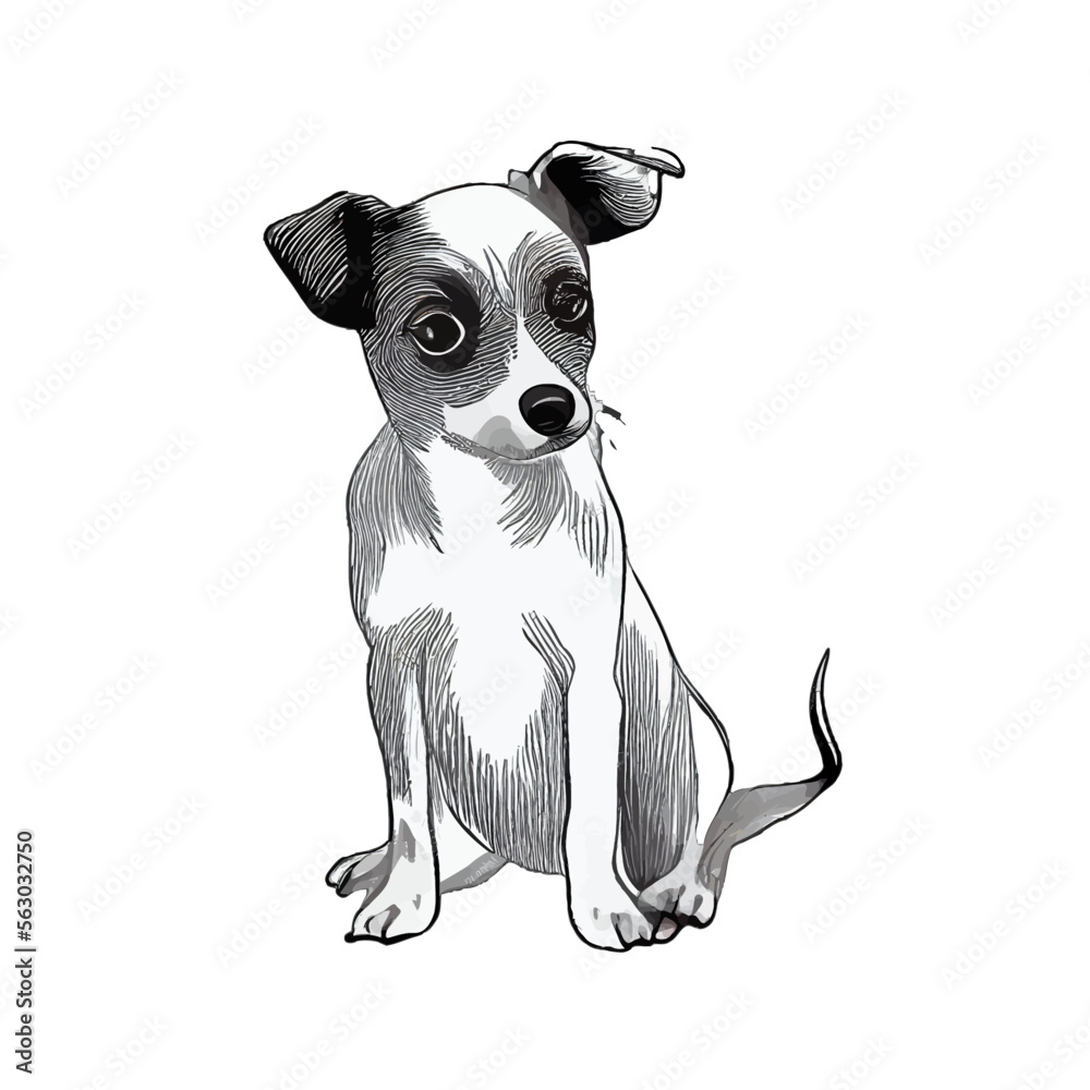 Cute dog drawing illustration cartoon vector graphic Stock Vector