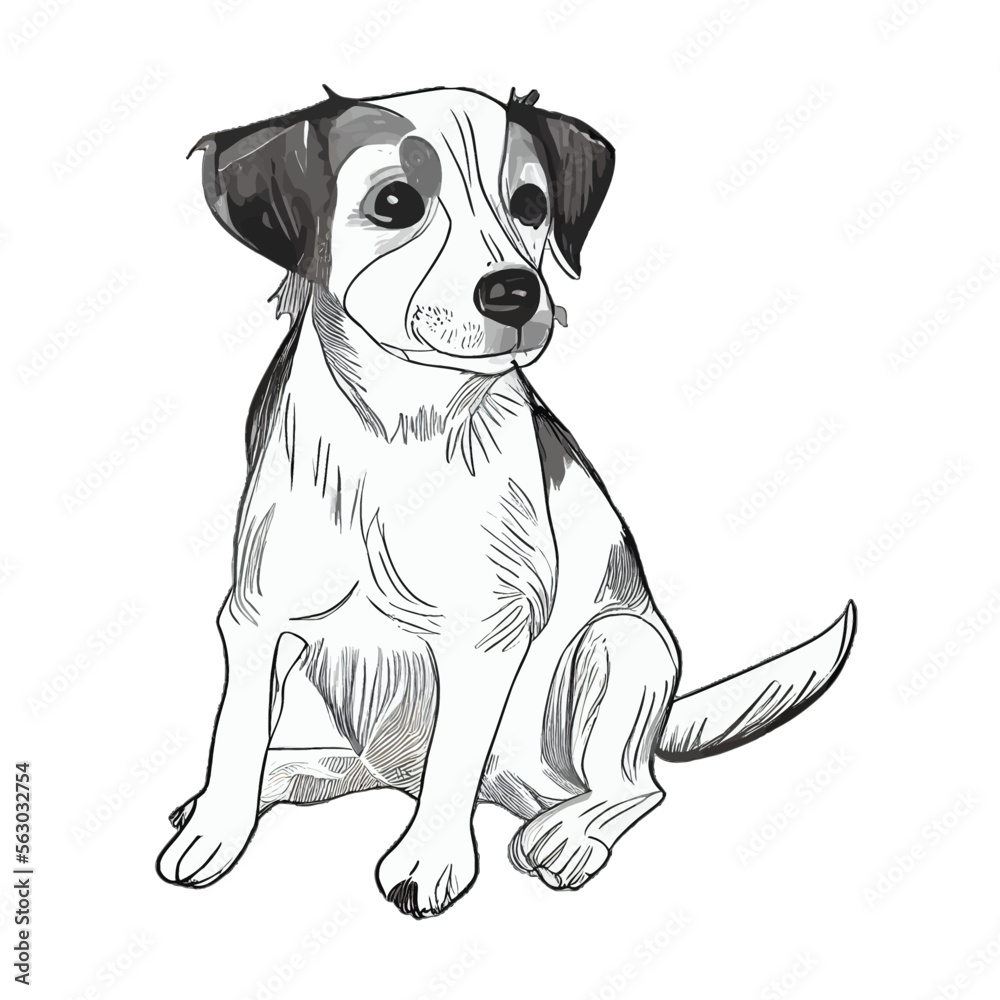 Fototapeta premium Cute dog drawing illustration cartoon vector graphic