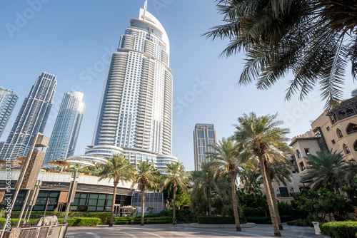 View on tall houses and palm trees in Dubai city center from park near by, Dubai, United Arab Emirates © diy13
