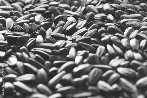 seeds background black and white