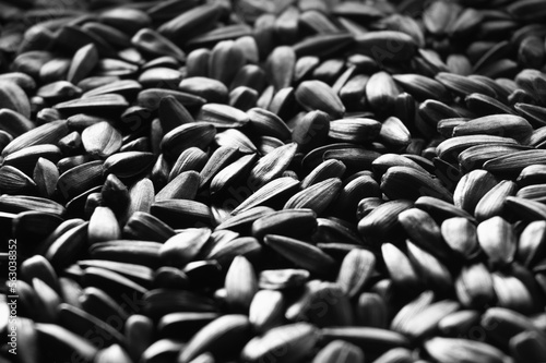 seeds background black and white