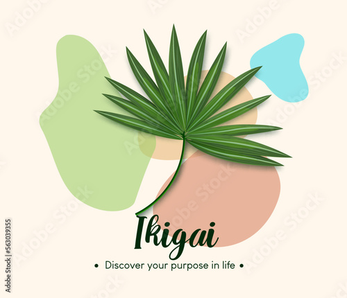 Ikigai vector design. Ikigai life purpose text with palm leaf elements in colorful abstract background. Vector illustration summer abstract design. 
 photo